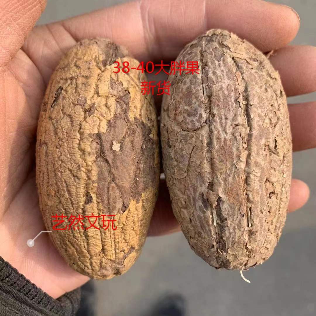 微信图片_20220115120044