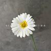 Ramo de flores artificiales de una sola rama de PU, gerbera, franvia, girasol, fresco, decoración de boda, adornos de escritorio, arreglo floral