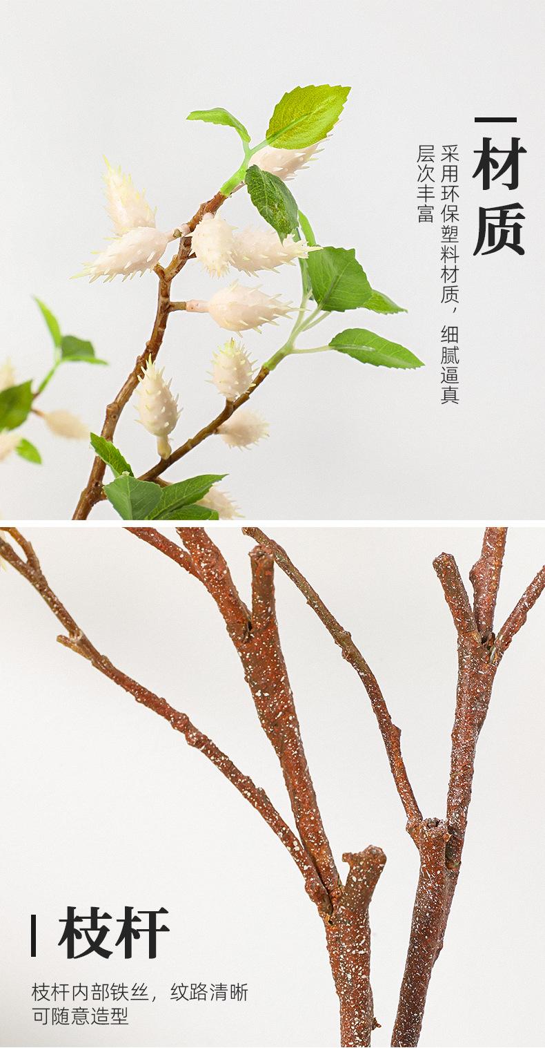 中枝橄榄果详情图