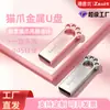 Memoria USB de Dibujo de Pata de Gato de Metal para Niñas, Mini USB Lindo de 64G, Alta Velocidad, Gran Capacidad, Regalo para Estudiantes y Oficina, Memoria USB