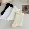 Meias de Renda de Algodão Puro para Mulheres, Novas Meias de Meia-Cança Estilo JK Japonês Lolita para Primavera e Outono, Meias Versáteis de Cor Sólida para Mulheres