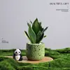 Árbol del Dinero Planta en Maceta Decoración Creativa de Planta para Escritorio Flor y Planta Verde para Oficina Adorno Hiedra Coco Rico Verde Bonsái Pequeño