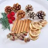 Fruta Fixa Natural Planta Fruta Casca Espécime Material Decoração Flores Secas Fatias Jardim de Infância DIY Pacote de Material de Natal
