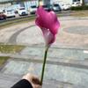 Snack de Año Nuevo cubo de flores flor artificial fábrica al por mayor Eva Lirio de Cala grande boda decoración suave decoración del hogar flor falsa