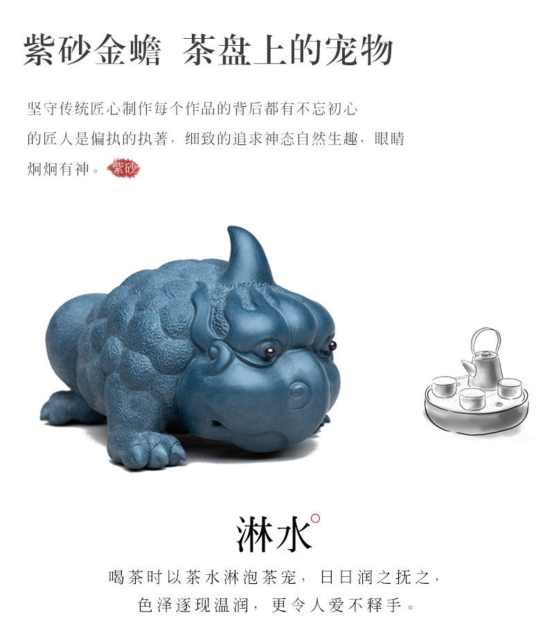 独角福蟾2020906 (28).jpg