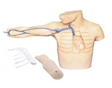 外周穿刺、中心静脉穿刺插管模型