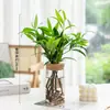 Vaso de Vidro Hidropônico Transparente Minimalista Criativo para Cultivo de Plantas Verdes Como Jiboia, Osmanthus e Pinheiro Arhat