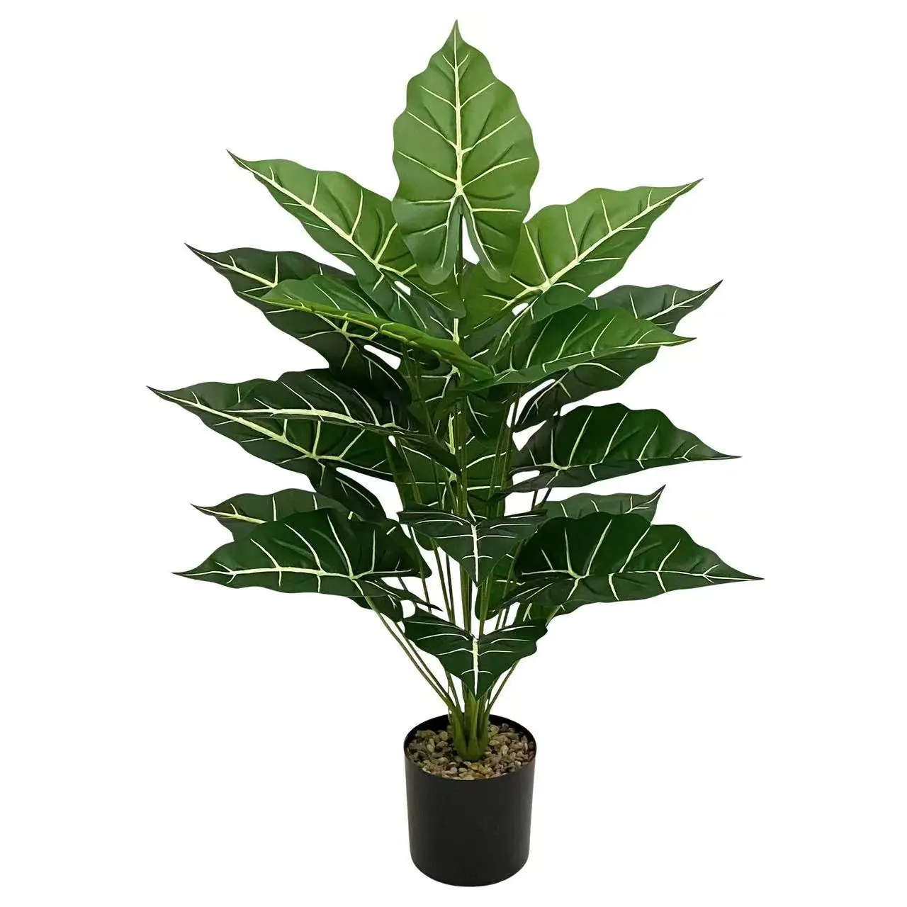 微信图片_20251119101944