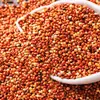 Mijo Rojo de Producción Agrícola para Palomas y Loros, Productos Agrícolas, Granos Gordos, Grandes Cantidades en Stock, Soporta Dropshipping, Venta al por Mayor y al por Menor