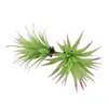 Mini Planta Suculenta Artificial Única Suculenta Falsa Flor Artificial Adorno de Micro Paisaje Oficina Planta Verde Real Artificial Alto