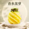 Abacaxi Perfumado de Guangdong, entrega 5/ 4kg Abacaxi doce desfiado à mão, doce e suculento, acompanha sal e pimenta em pó, fruta fresca da estação