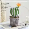 Bonsai de combinação de cactos, flores artificiais, plantas tropicais, plantas em vaso, decorações de interior, cactos suculentos de alta qualidade para vendas transfronteiriças