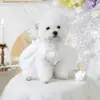 PETCIRCLE Ropa para Mascotas Perros Pequeños Cachorros Mascotas Lindas Malla Multicapa Falda Abullonada Vestido de Boda de Princesa