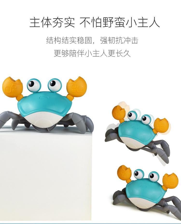水陆螃蟹