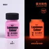 Xiajia 60ml Botella Pintura Acrílica Luminosa Pintura Luminosa Graffiti Decorativo Pintado Textil Pigmento Luminoso Especial