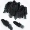Plumas de Colores, Plumas Blancas 6-10cm Atrapasueños DIY, Palo Juguete para Gatos, Disfraz de Dibujos Animados, Materiales para Manualidades con Plumas