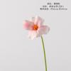 Yang-contendo simulação de alta qualidade PU tulipa sonho cor flor material casamento fotografia floral decorativo plantio mesa de convidados flor