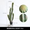 Simulación de Espacio Natural Cactus Planta en Maceta Grande Planta Verde Artificial Adorno Estilo Nórdico Decoración de Piso Bonsái