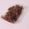 5 gramas de 100 gramas de Hortênsia Anna Classe B Artigos Transparentes Cor Quebrada Código Quebrado Micro Defeitos Flor Eterna Hortênsia de Madeira Flores Preservadas