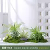 Planta de musgo artificial paisagismo floreira combinação divisória decoração micro paisagismo planta verde biônica paisagismo interno bonsai