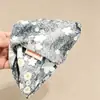 Pinza Triangular para el Cabello con Estampado de Leopardo Estilo Coreano para Mujer, Modelo Nuevo de Alta Gama 2026, Pinza de Tiburón Grande para la Parte Posterior de la Cabeza, Accesorio para el Cabello de Primavera y Verano