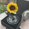 Presente mais vendido para o Dia dos Namorados e Dia das Mães: caixa de presente com cúpula de vidro com flores eternas, design do Pequeno Príncipe, atacado