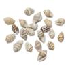 Colgante de concha natural de un solo agujero, cuentas de concha perforadas, pendientes, collares y sombreros hechos a mano.