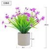 Orquídea Narciso da Sorte Fresca e Elegante em Vaso Pequenos Enfeites para Casa Plantas e Flores Artificiais Decorações de Flores de Plástico para Mesa