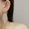 Collar y Pendientes de Borla de Diamante Completo de Alto Gama Súper Brillantes con Temperamento Cadena de Clavícula Exagerada para Vestido de Noche