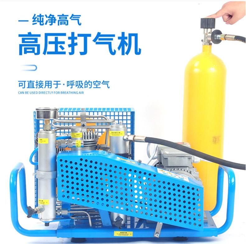 空气呼吸器充气泵1.jpg