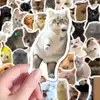 100 peças de adesivos de memes de gatos, fofos e adoráveis, apresentando animaizinhos e gatinhos adoráveis, perfeitos para scrapbooking e decoração de celular