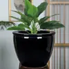 Macetas de cerámica grandes de Jingdezhen, directo del fabricante, tamaño extragrande de 50 cm, adecuadas para hoteles y jardines
