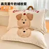Funda de Almohada de Terciopelo de Leche Engrosada 48X74cm Paquete Doble Invierno para Niños y Adultos Funda Interior para Almohada Individual del Hogar