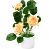 Plantas artificiais de rosa em vaso para decoração de casa, display de mesa, fabricante de rosas com bordas onduladas, pequenas plantas em vaso criativas - Amazon transfronteiriça