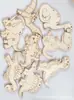 Regalo para Niños Dinosaurio Tyrannosaurus Rex Virutas de Madera Puede Ser Autopropulsado DIY Graffiti Manualidades de Dibujos Animados En Stock