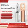 DT-150mm cor natural e nariz de cobre estanhado conector de cobre fio de fio de ouvido tipo de óleo de pressão fria cabo de cabo terminal