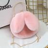 Nuevo bolso bandolera pequeño con orejas de conejo para mujer, bolso de peluche con cadena de piel sintética de conejo, bolso de moda de princesa