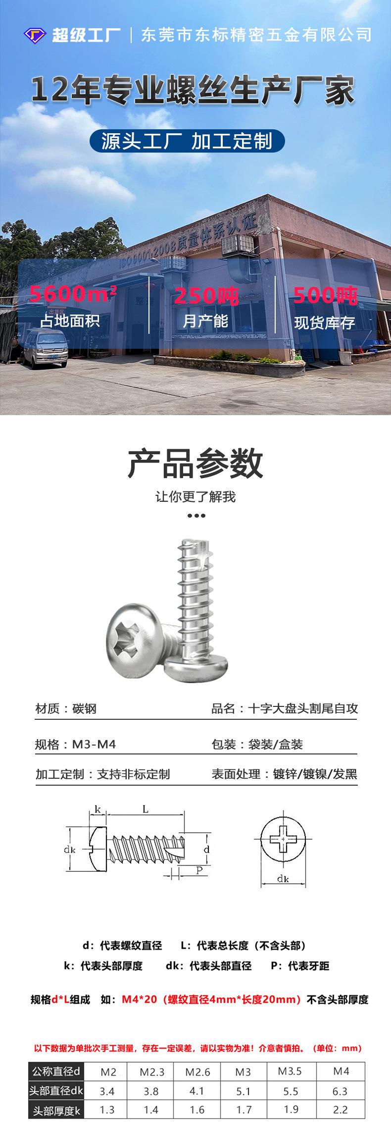 东标大盘头割尾自攻新详情_01.jpg