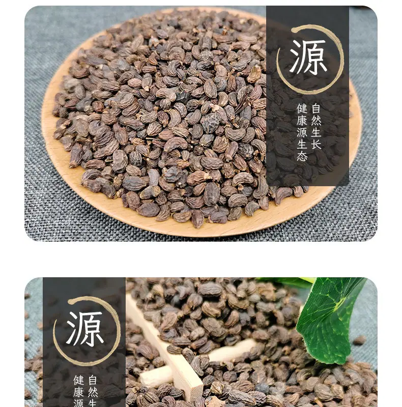 女贞子