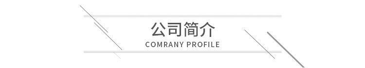 公司介绍