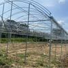 Invernadero Ventilado Invernadero para Cultivo de Plántulas de Hortalizas Esqueleto de Techo para Invernadero de Melón Plantación de Flores Invernadero de Sombra Exterior