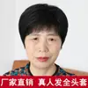 Peluca para Mujer, Peluca de Cabeza Completa para Personas de Mediana Edad y Mayores, Mechones de Cabello Natural Realistas, Fabricante de Conjuntos de Pelucas de Cabello Corto Liso Estilo Mamá