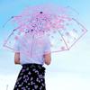 Atacado Guarda-chuva Transparente Manual Pvc 70% de Desconto Guarda-chuva Feminino Estudante Dobrável Guarda-chuva Simples Pode Imprimir Logo de Publicidade