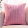 Venda Quente Transfronteiriça Estilo Luxo Leve Casa Hotel Cor Sólida Listrado Simples Capa de Almofada Decorativa Sem Enchimento Atacado