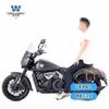 Coche deportivo Wolf adecuado para Luba 800 de xiangshuai bolsa lateral bolsa de lona bolsa para portátil de negocios maletín modificación portamatrícula de liberación rápida