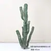 Cactus Pilares de Dragón Simulados Cactus Parásito Planta del Desierto Marroquí Decoración Suave para Paisajismo Modelo Decoración de Proyectos
