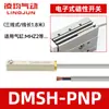 Interruptor de Sensor Magnético Lingqun CS1-G-S-F-M-U-J Cilindro D-A93/C73/M9N Dos-Tres Cables D-A54