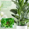 Suporte para Caule de Planta Ferramentas de Jardinagem Clips de Fixação para Plantas Estrutura de Treliça Estrutura de Agrupamento de Hastes de Flores Ferramentas de Jardinagem