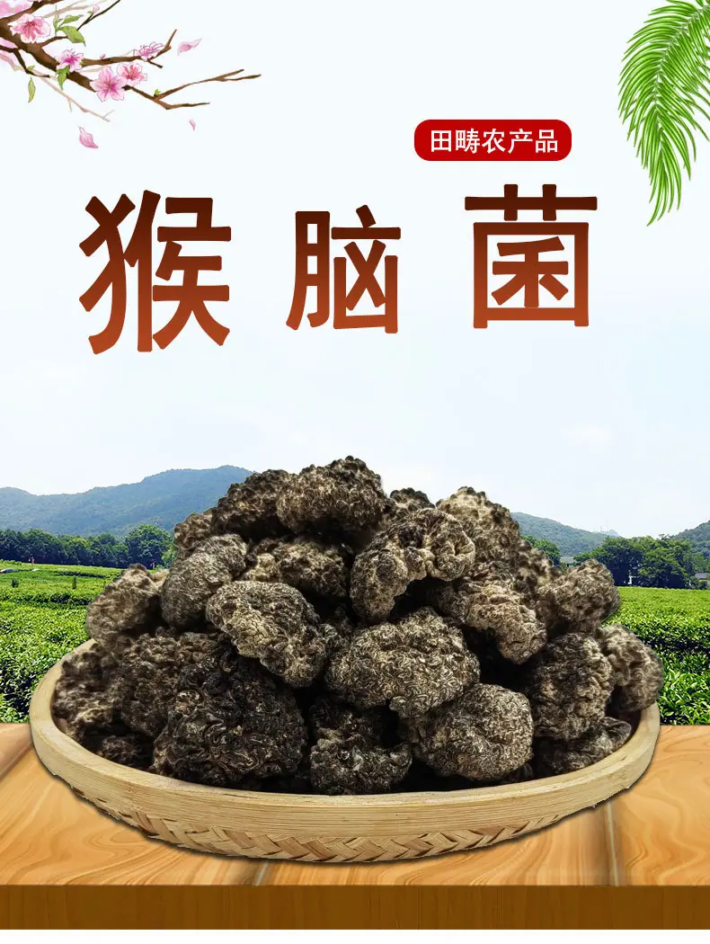 猴脑菌_01.jpg