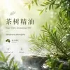 Aceite Esencial de Árbol de Té de Australia, Aceite Esencial para Aromaterapia, Masaje Facial, Venta al por Mayor de Materias Primas de Aceites Esenciales para Uso de Muestreo Industrial